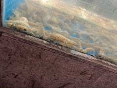 -码头鲜精致威海菜(欧乐坊店)