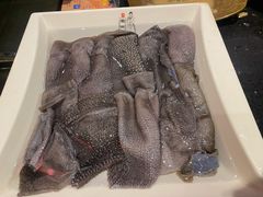 毛肚-宽板凳老灶火锅(南礼士路店)