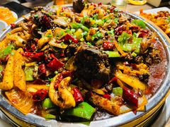 -老号尤兔头(幸福店)