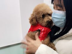-宠福鑫康馨动物医院·骨科·眼科