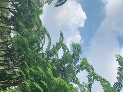 -万绿园