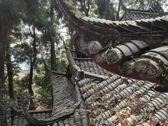 -青城山