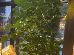 -嘎嘎鸭脑壳(驷马桥店)