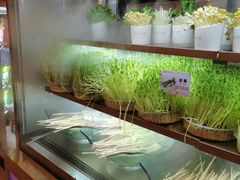 -串一火锅(赛格国际购物中心店)