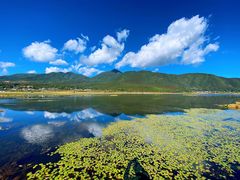 -腾冲北海湿地