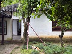 -常熟方塔园