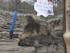-贵州森林野生动物园
