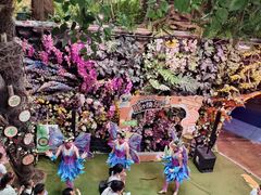-正佳雨林生态植物园