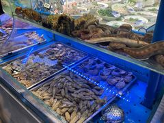 -小螺号海鲜·地道鲁菜(泉城广场店)