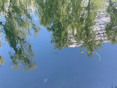 -南长河公园