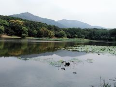 -紫金山天文台