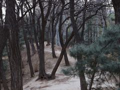 -元大都城垣遗址公园