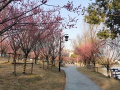 -杭州半山国家森林公园