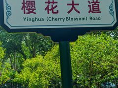 -武汉大学-樱园