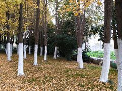 -万达广场(无锡滨湖店)