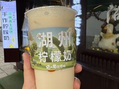 -猫的魔法密林(衣裳街店)