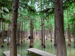 -抚仙湖禄充风景区