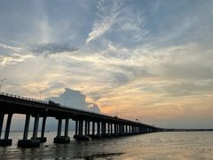 -宝安西湾红树林湿地公园