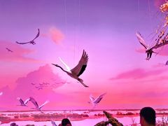 -中国湿地博物馆