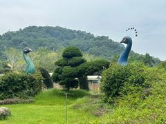 -东南花都花博园