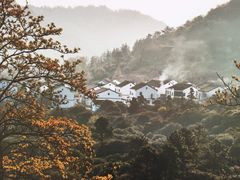 -树山生态村