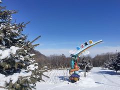 -香炉山国家森林公园