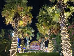 -三亚海昌梦幻海洋不夜城