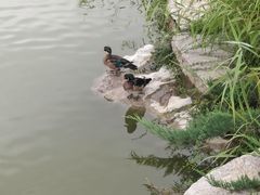 -西海子公园