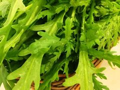 -老诚一锅羊蝎子(垡头店)