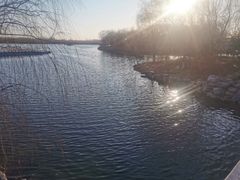 -大兴滨河森林公园