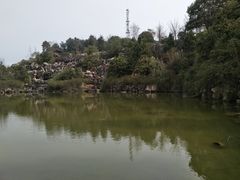 -铁山坪森林公园