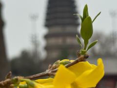 -天宁寺