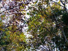 -南京奥林匹克体育中心-体育馆