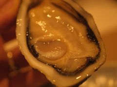 -斯普汇生蚝牛排馆(中骏世界城店)