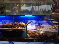 水产区-喜庭海鲜自助(来福士店)