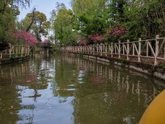 -南汇桃花村