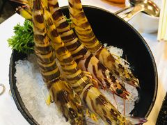 -鲜入围煮花胶鸡海鲜火锅