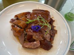 -椿记烧鹅(叠彩店)