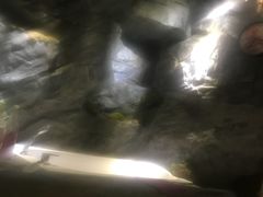 -小隐足道·按摩·主题SPA馆(西红门店)