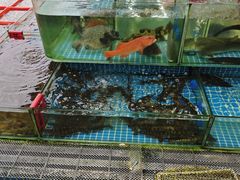 -南湾海鲜餐厅(南澳海鲜街店)