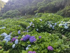 -鼓岭旅游度假区