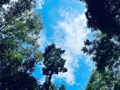 -青城山