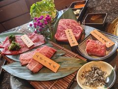 -老乾杯(深圳湾万象城店)