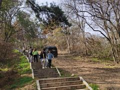 -青龙山国家森林公园