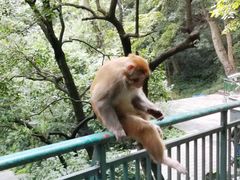 -黔灵山公园-南门售票处