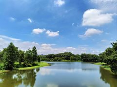 -松山湖风景区松湖烟雨
