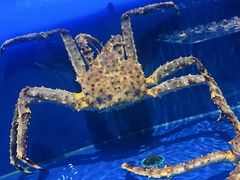 -奕景海鲜酒家· 大连海鲜(星海广场店)