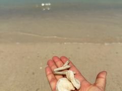 -三亚蜈支洲岛旅游区