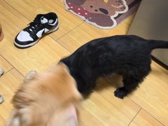 -小意思咖啡店(草桥店)