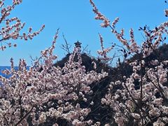 -北京凤凰岭